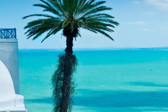 View of Sidi Bou Said, near Tunis, Tunisia.